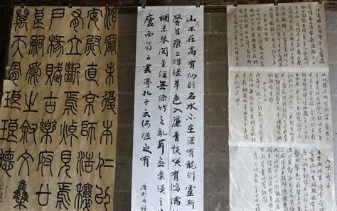 None (legislative bills have been. Mandarin Chinese - the Major Language of Mainland China