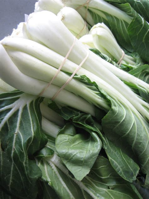 Chinese Cabbage Bok Choy Harvest To Table