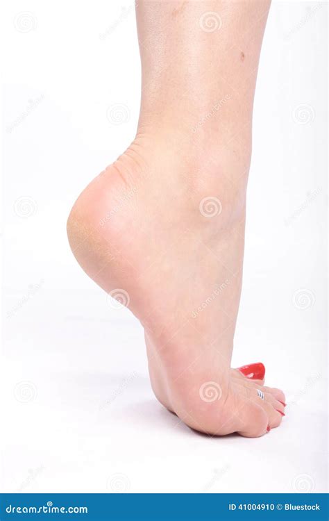 Female Feet Stock Photo Image Of Isolated Care Flowers 41004910