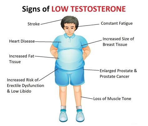 what causes low free testosterone levels testosterone hormone symptoms hormones sperm sex causes