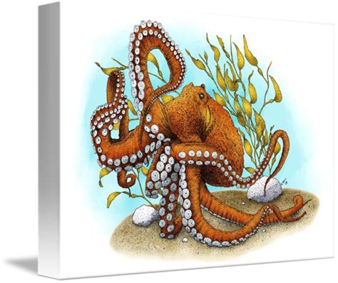 Giant Pacific Octopus By Roger Hall