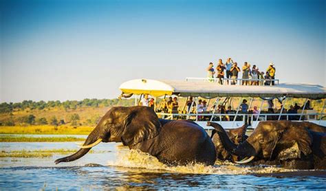 Chobe River Cruise Experience · Botswana