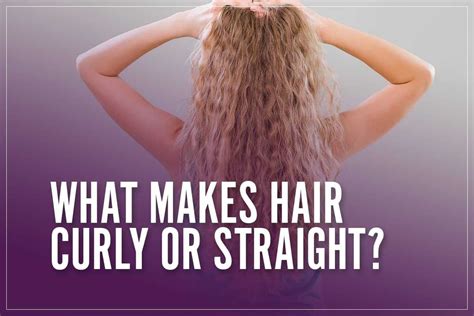 What Makes Hair Curly Or Straight Here Is The Science Behind It