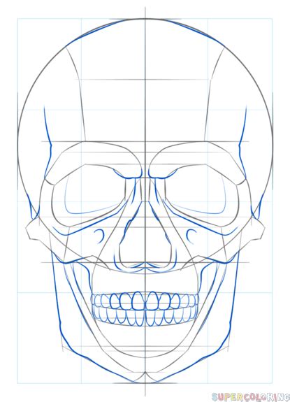 How To Draw A Human Skull Step By Step Drawing Guide