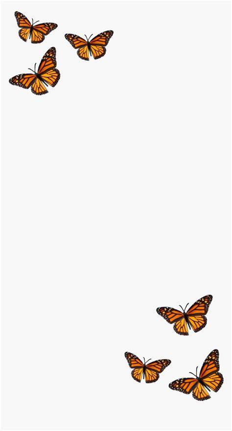 Monarch Butterfly Aesthetic Wallpapers Wallpaper Cave 958