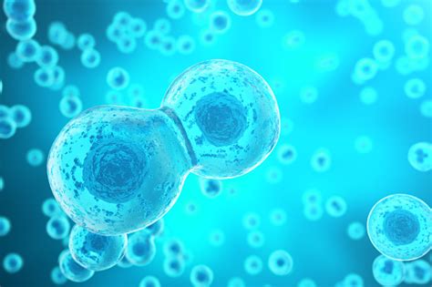 Blue Cell Background Life And Biology Medicine Scientific Molecular