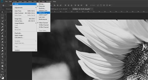 Creating Black And White Effects In Photoshop Basics Tutorial
