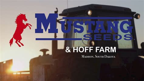 Mustang Seeds And Hoff Farm Cover Crops Youtube