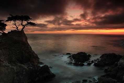 The Lone Cypress Observes A Pebble Beach Sunset Photograph By Dave Sribnik