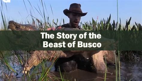 The Beast Of Busco Is Somewhat Of A Legend In Churubusco Indiana The