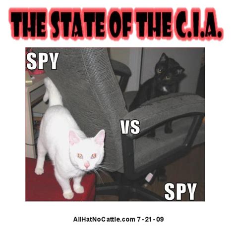 The State Of The Cia All Hat No Cattle