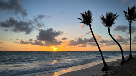 Download Wallpaper 3840x2160 Beach Ocean Palm Trees Tropics Sunset