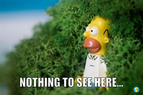 Nothing At All Homer Simpson Backs Into Bushes Know Your Meme