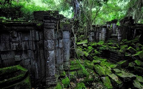 Wallpaper Landscape Forest Nature Green Jungle Ruins Rainforest