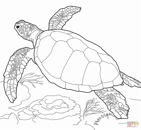 Sea Turtle Coloring Pages For Adults At GetColorings Com Free