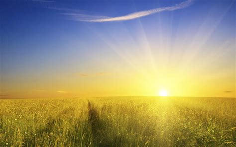 Benefits of Sunlight - detoxforlife.biz