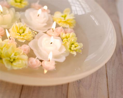We did not find results for: Beautiful Flower Wallpapers For You: Flowers Candle Wallpaper