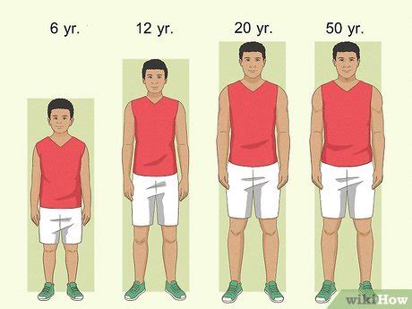 How To Become Taller Naturally Steps With Pictures Wikihow Life