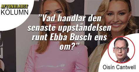 Ebba busch, 33, har varit en politisk komet. Oisín Cantwell om Margaux Dietz resa med Ebba Busch ...