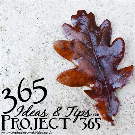 365 Ideas And Tips For Project 365 Project 365 Photography Projects
