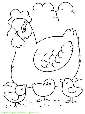 Maybe you would like to learn more about one of these? 15 Gambar Mewarnai Ayam Untuk Anak PAUD dan TK | Buku mewarnai