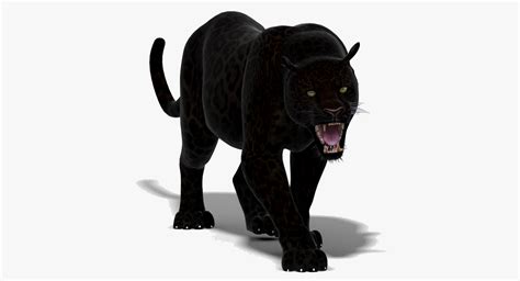 3d Black Panther Animation