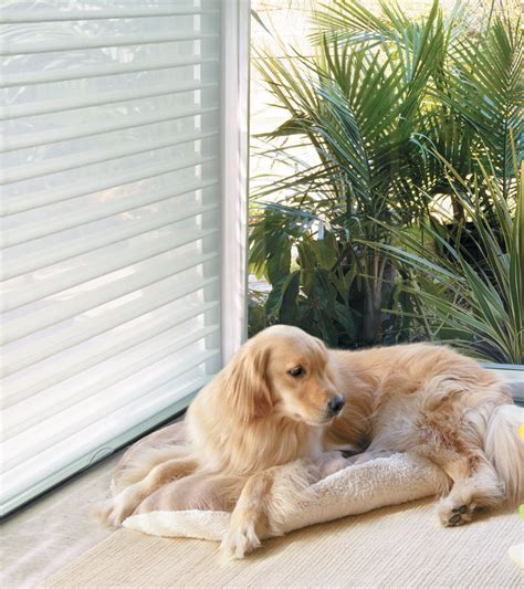 Maybe you would like to learn more about one of these? Nantucket Sheer Shades | Hunter Douglas Sheer Window Shades