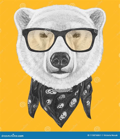 Portrait Of Polar Bear With Sunglasses And Scarf Hand Drawn