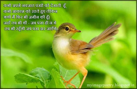 Image Poetry Hindi Image Poetry Collection 2