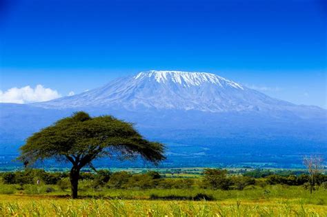 Znany podróżnik wchodził na kilimandżaro. Co musisz wiedzieć o wyprawie na Kilimandżaro ...