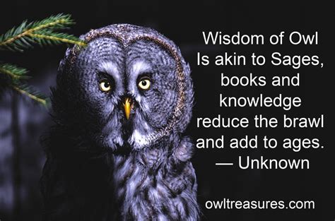 Owl Quotes And Sayings Owl Treasures