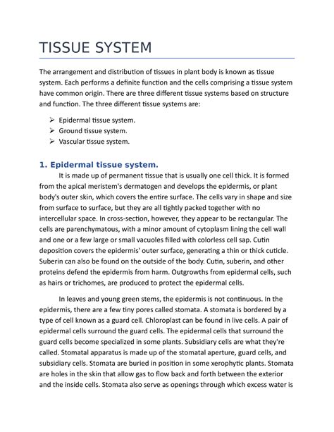 Tissue System Of Plant Bachelor Of Science Bhu Studocu