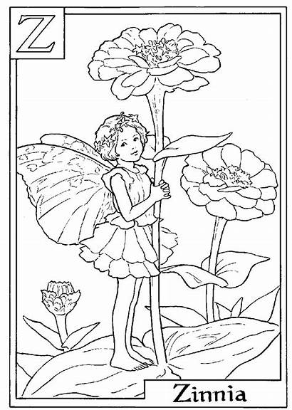 Coloring Fairy Fairies Flower Colouring Printable Zinnia