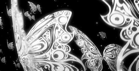 Black Butterfly  Png Download 64 Animated Butterfly Cliparts For Free