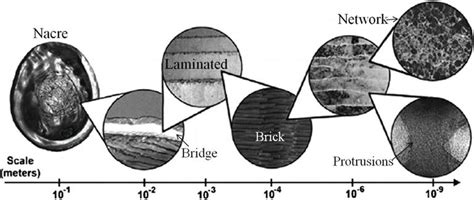 Multiscale Hierarchical Structure And Laminated Strengthening And