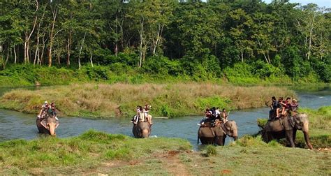 Jungle Safari In Nepal By Nepal Holiday Treks And Tours Tourradar