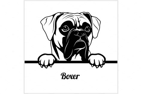 Boxer Peeking Dogs Breed Face Vector Graphics Creative Market