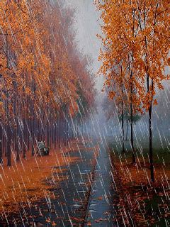 Hd wallpapers and background images. Download Nature In Rain Mobile Wallpaper | Mobile Toones