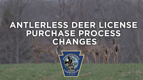 Antlerless Deer License Purchase Process Changes Youtube