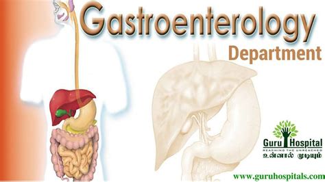 Gastroenterology Manage With The Infections Or Defects Of The Digestion
