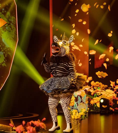 Zebra Is Unmasked On The Masked Singer South Africa