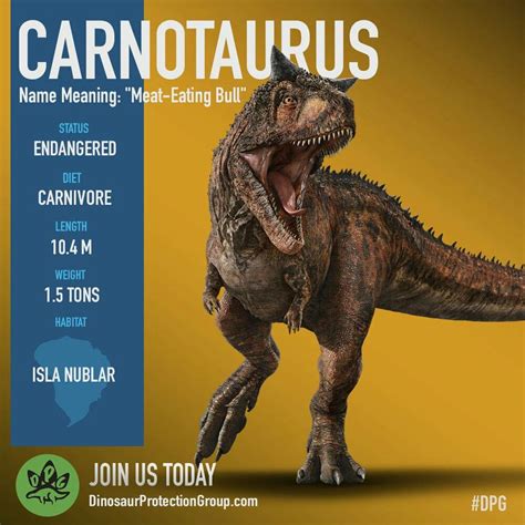 An Image Of A Dinosaur With The Words Carnotaurus On Its Back