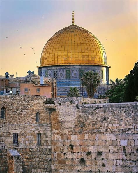 Boka de bästa sakerna att göra i palestina. Pin von Asif Athwal17🇵🇰🇲🇾 auf Masjid_Alaqsa in 2020 ...