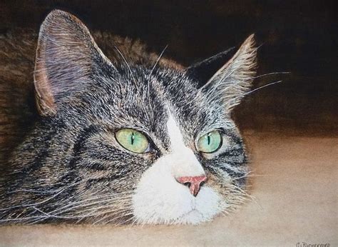 A Cat Called Meatloaf Painting By Claudia Rutherford Pixels