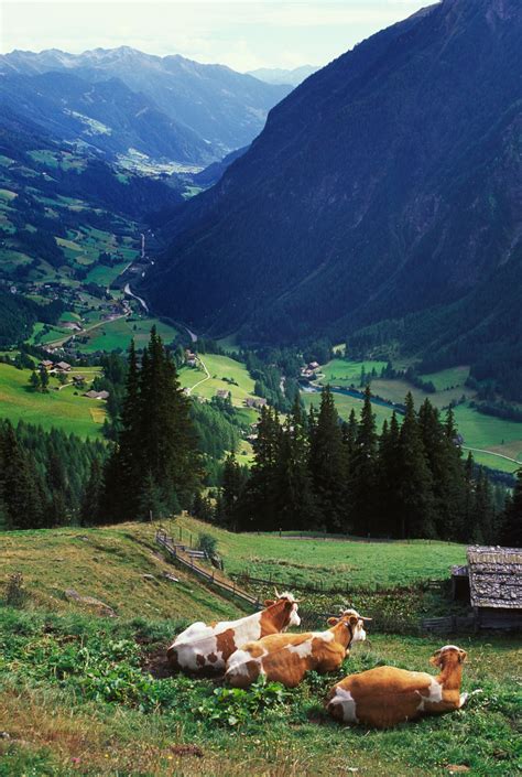 15 Photos That Perfectly Capture Austrias Stunning Countryside