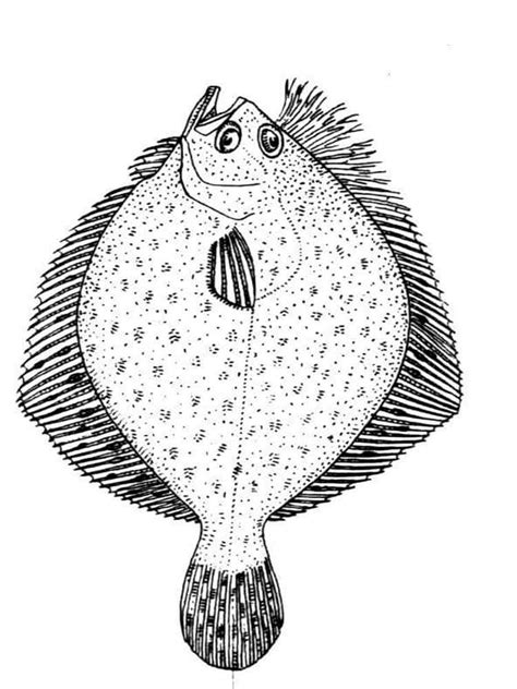 Both of them are in love and are kissing each other passionately. Flounder fish coloring pages. Download and print Flounder ...