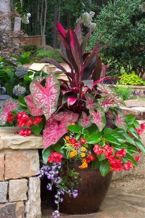 Lovely Combination Planting Container Gardening Ideas 07 Homyhomee