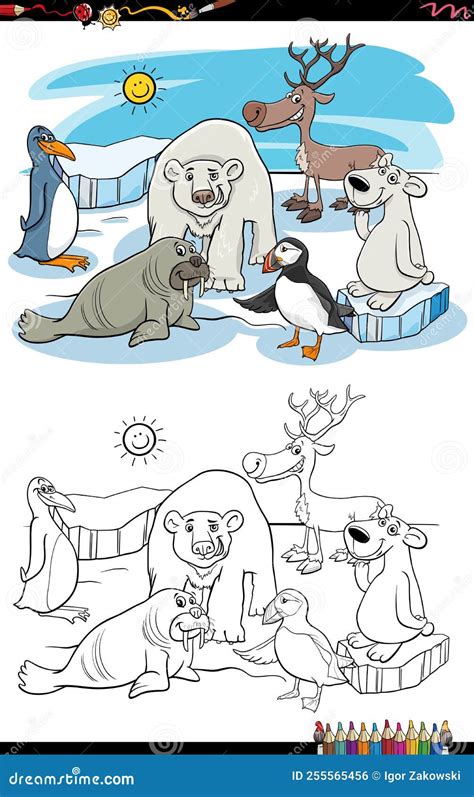Cartoon Polar Animals Characters Group Coloring Page Stock Vector