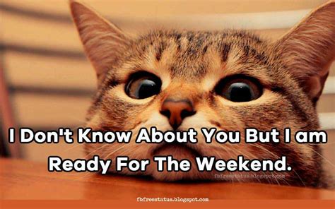 All people get stressed out when we're left out. Funny & Happy Weekend Memes Quotes With Funny Weekend Images