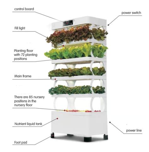 Vertical Indoor Hydroponic Grow Cabinet System Lyine Factory